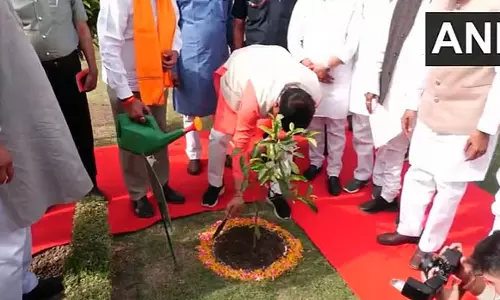 सिंगरौली में CM मोहन यादव ने लगाया पौधा, विकास और शिक्षा पर दिया जोर सिंगरौली में CM मोहन यादव ने लगाया पौधा, विकास और शिक्षा पर दिया जोर