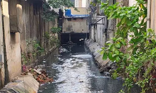 पीहर नाला की सफाई करवाकर निकास सुगम बनाया गया