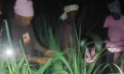 Bihar : वाल्मीकि टाइगर क्षेत्र से भटके तेंदुए ने दो बकरों का किया शिकार Bihar : वाल्मीकि टाइगर क्षेत्र से भटके तेंदुए ने दो बकरों का किया शिकार