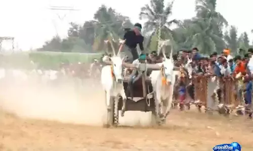 Thoothukudi के वर्थागारेड्डीपट्टी में उत्सव के उत्साह के साथ चौथी वार्षिक बैलगाड़ी दौड़ की गई आयोजित Thoothukudi के वर्थागारेड्डीपट्टी में उत्सव के उत्साह के साथ चौथी वार्षिक बैलगाड़ी दौड़ की गई आयोजित