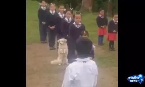 Sikkim में स्कूल असेंबली में बच्चों के साथ शामिल हुआ कुत्ता, वीडियो वायरल Sikkim में स्कूल असेंबली में बच्चों के साथ शामिल हुआ कुत्ता, वीडियो वायरल