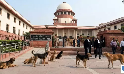आवारा कुत्तों पर NGO पंहुचा सुप्रीम कोर्ट
