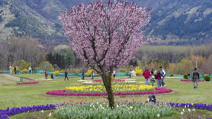 Kashmir : मेडिकल और वेलनेस टूरिज्म को बढ़ावा Kashmir : मेडिकल और वेलनेस टूरिज्म को बढ़ावा