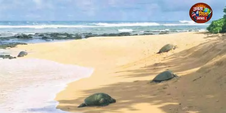 ग्लोबल वार्मिंग से Bhitarkanika इकोसिस्टम को खतरा ग्लोबल वार्मिंग से Bhitarkanika इकोसिस्टम को खतरा