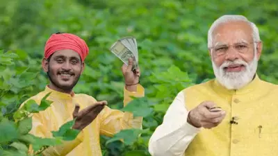 PM किसान योजना में वंचित किसानों को मिलेगा दोबारा मौका, नया पंजीकरण पोर्टल शुरू PM किसान योजना में वंचित किसानों को मिलेगा दोबारा मौका, नया पंजीकरण पोर्टल शुरू