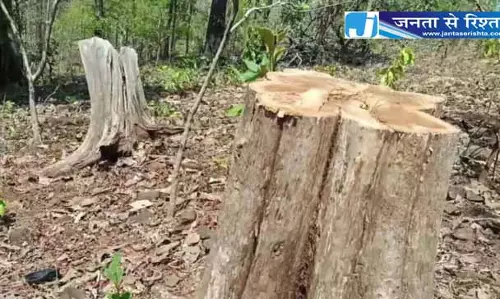 डिप्टी रेंजर और बीट गार्ड सस्पेंड, सागौन लकड़ी बेचने का आरोप डिप्टी रेंजर और बीट गार्ड सस्पेंड, सागौन लकड़ी बेचने का आरोप
