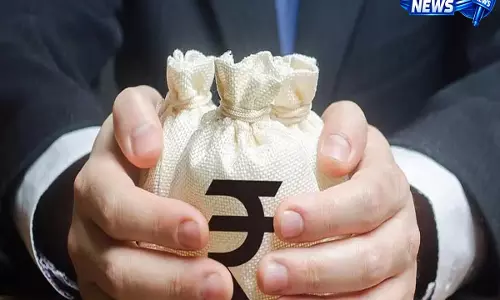 इंडिया पेस्टिसाइड्स Q4 रिजल्ट: कंपनी ने दर्ज की शानदार ग्रोथ