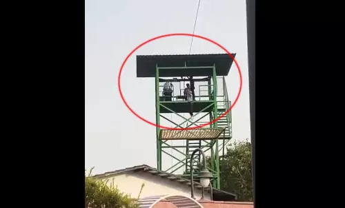 ऊंचाई से गिरकर युवक की मौत, जिप लाइन झूले का LIVE वीडियो ऊंचाई से गिरकर युवक की मौत, जिप लाइन झूले का LIVE वीडियो
