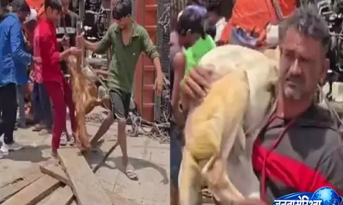 UP: हादसे के बाद लूट का वायरल वीडियो, लोगों के व्यवहार पर उठे सवाल UP: हादसे के बाद लूट का वायरल वीडियो, लोगों के व्यवहार पर उठे सवाल