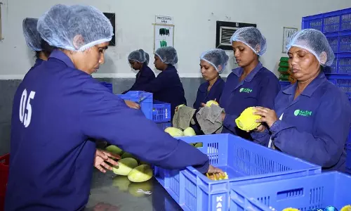 दक्षिण Gujarat में वैल्यू-एडेड एग्रो बिजनेस से किसानों की बढ़ी आय, प्रोसेस्ड फलों का बढ़ा निर्यात दक्षिण Gujarat में वैल्यू-एडेड एग्रो बिजनेस से किसानों की बढ़ी आय, प्रोसेस्ड फलों का बढ़ा निर्यात