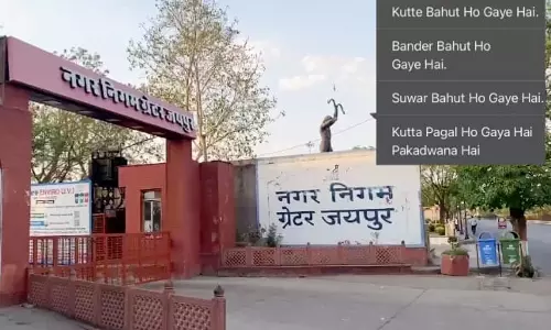 Jaipur: नगर निगम ने इंसानों और पशु-पक्षियों के लिए किए विशेष इंतजाम Jaipur: नगर निगम ने इंसानों और पशु-पक्षियों के लिए किए विशेष इंतजाम