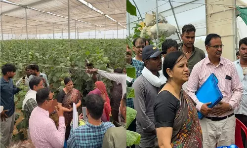 राज्य सरकार की कृषि एवं उद्यानिकी योजनाएं कृषकों को बना रही आत्मनिर्भर एवं समृद्ध : Manju Rajpal