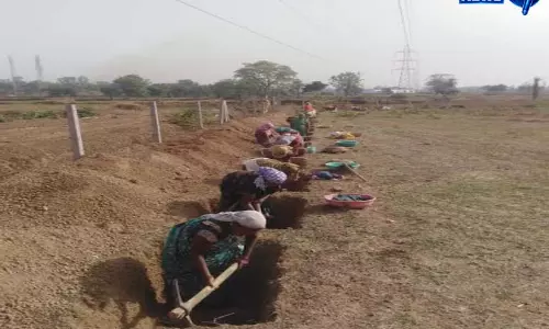 मनरेगा से दुर्ग जिले में 68 हजार से अधिक श्रमिकों को मिल रहा रोजगार