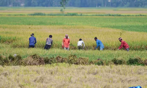 बढ़ती ईंधन कीमतों के बीच खाद्य संप्रभुता पर जोर, Agriculture में नए दौर की मांग बढ़ती ईंधन कीमतों के बीच खाद्य संप्रभुता पर जोर, Agriculture में नए दौर की मांग