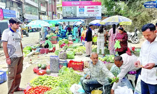 सोलन में 100 का चार किलो बिका आलू