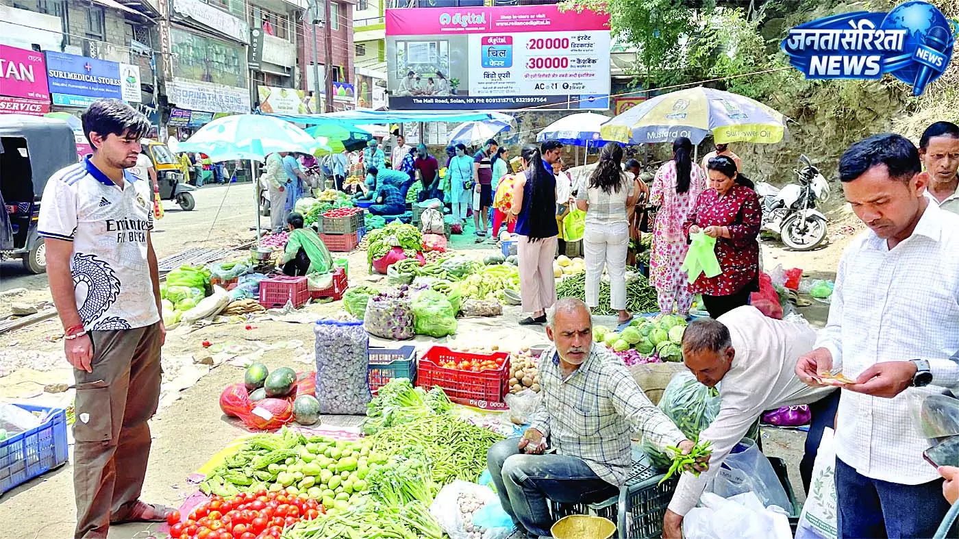 सोलन में 100 का चार किलो बिका आलू सोलन में 100 का चार किलो बिका आलू