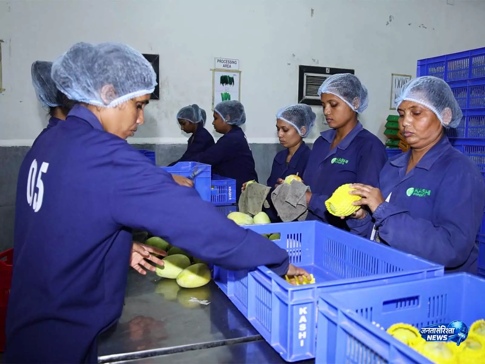 दक्षिण Gujarat में वैल्यू-एडेड एग्रो बिजनेस से किसानों की बढ़ी आय, प्रोसेस्ड फलों का बढ़ा निर्यात दक्षिण Gujarat में वैल्यू-एडेड एग्रो बिजनेस से किसानों की बढ़ी आय, प्रोसेस्ड फलों का बढ़ा निर्यात