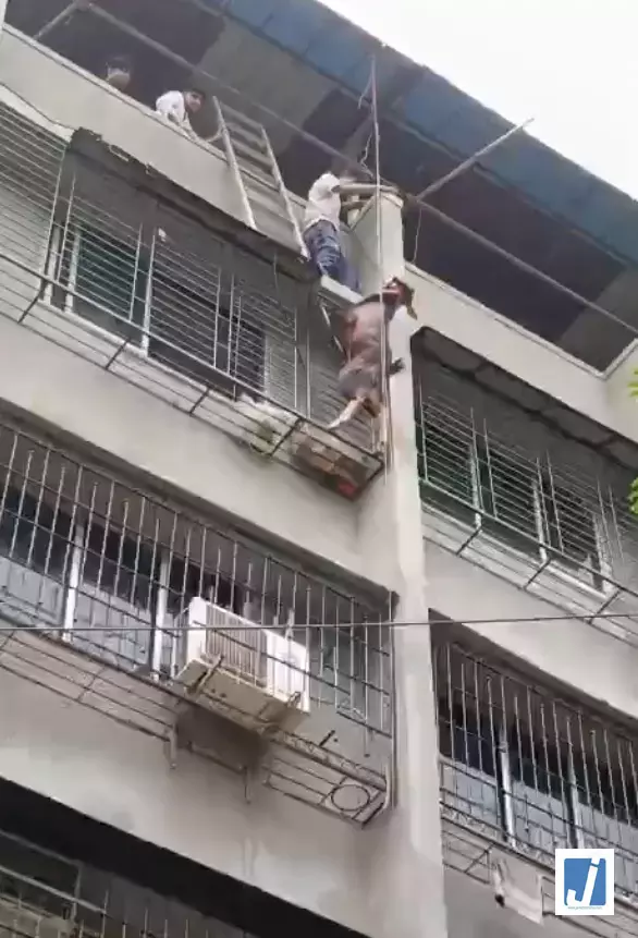 live rescue वीडियो : तीसरी मंजिल से लटका बकरा... live rescue वीडियो : तीसरी मंजिल से लटका बकरा...