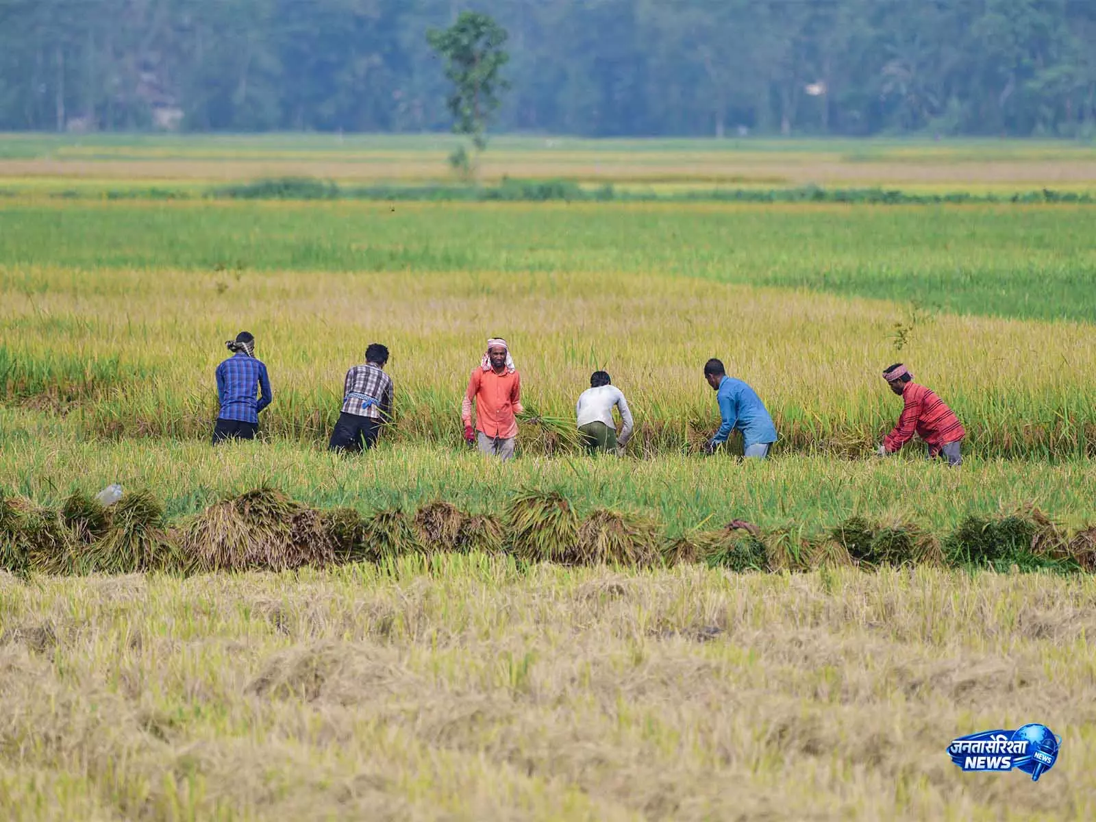 बढ़ती ईंधन कीमतों के बीच खाद्य संप्रभुता पर जोर, Agriculture में नए दौर की मांग बढ़ती ईंधन कीमतों के बीच खाद्य संप्रभुता पर जोर, Agriculture में नए दौर की मांग