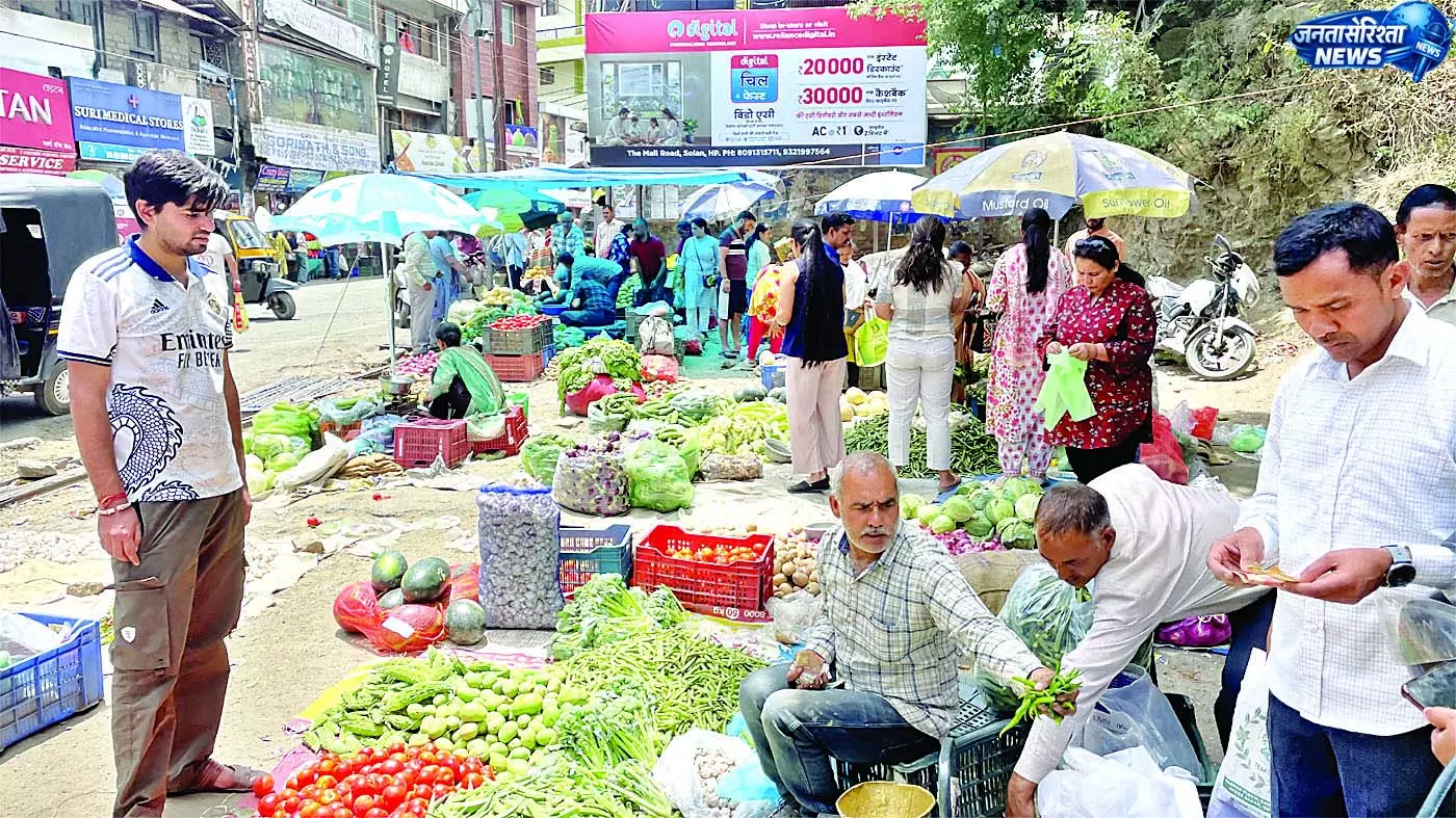 सोलन में 100 का चार किलो बिका आलू सोलन में 100 का चार किलो बिका आलू