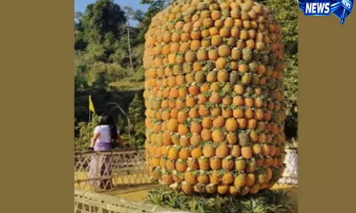 Guwahati: अरुणाचल ने बागरा पाइनएप्पल फेस्टिवल को वार्षिक राज्य उत्सव घोषित किया Guwahati: अरुणाचल ने बागरा पाइनएप्पल फेस्टिवल को वार्षिक राज्य उत्सव घोषित किया