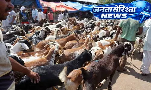 Mira रोड में बकरीद से पहले बकरियों को लेकर विवाद, सोसाइटी में तनाव बढ़ा Mira रोड में बकरीद से पहले बकरियों को लेकर विवाद, सोसाइटी में तनाव बढ़ा