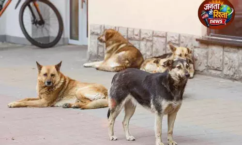 Punjab में आवारा कुत्तों पर 21 दिन की कार्रवाई