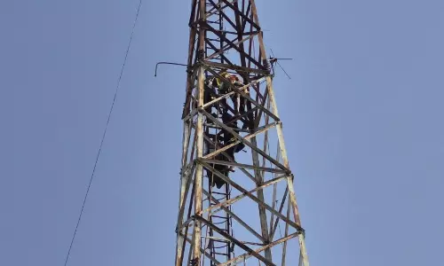 मोबाइल टावर में फांसी लगाकर सुसाइड मोबाइल टावर में फांसी लगाकर सुसाइड