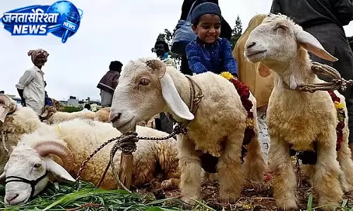 Bakrid से पहले बेंगलुरु में विशेष कचरा प्रबंधन योजना, 4 दिन का वर्क प्लान तैयार