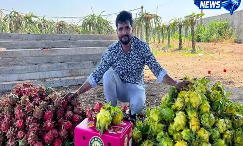 Zaheerabad 130 से ज्यादा फसल किस्मों के साथ Telangana में कृषि विविधता का बना मॉडल