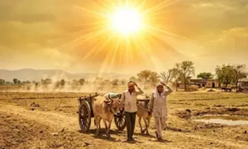Dhanbad : 41 डिग्री के पार पहुंचा तापमान, नौतपा में भीषण गर्मी और लू का असर जारी Dhanbad : 41 डिग्री के पार पहुंचा तापमान, नौतपा में भीषण गर्मी और लू का असर जारी