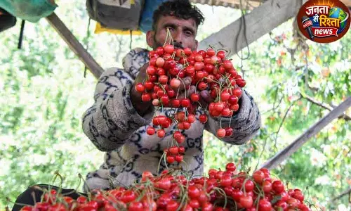 स्पेशल रेलवे पार्सल वैन Jammu से Mumbai 12 टन चेरी ले गई