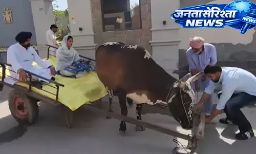 Punjab : लोकल बॉडी चुनाव में राजा वारिंग बैलगाड़ी पर पहुंचे मतदान केंद्र