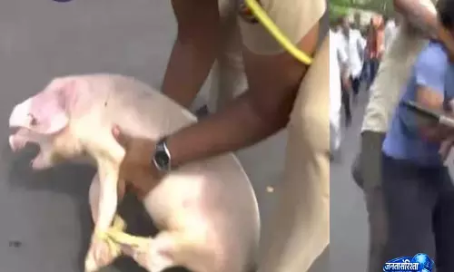 Mira Road Bakrid Row: बकरियों की एंट्री से शुरू हुआ हंगामा, पुलिस तैनात, कई पक्ष आमने-सामने Mira Road Bakrid Row: बकरियों की एंट्री से शुरू हुआ हंगामा, पुलिस तैनात, कई पक्ष आमने-सामने