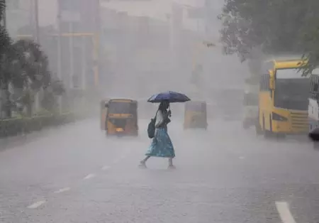 तमिलनाडु के आठ जिलों में आज हो सकती है भारी बारिश, मौसम विभाग ने जारी किया अलर्ट तमिलनाडु के आठ जिलों में आज हो सकती है भारी बारिश, मौसम विभाग ने जारी किया अलर्ट