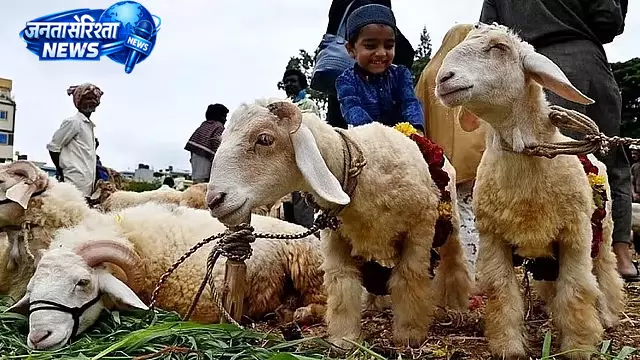 Bakrid से पहले बेंगलुरु में विशेष कचरा प्रबंधन योजना, 4 दिन का वर्क प्लान तैयार Bakrid से पहले बेंगलुरु में विशेष कचरा प्रबंधन योजना, 4 दिन का वर्क प्लान तैयार