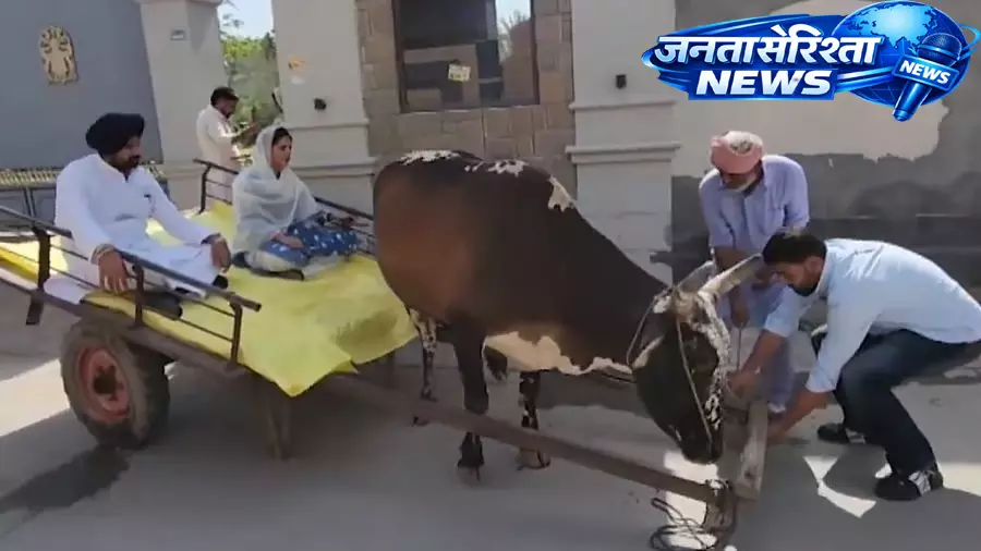 Punjab : लोकल बॉडी चुनाव में राजा वारिंग बैलगाड़ी पर पहुंचे मतदान केंद्र Punjab : लोकल बॉडी चुनाव में राजा वारिंग बैलगाड़ी पर पहुंचे मतदान केंद्र