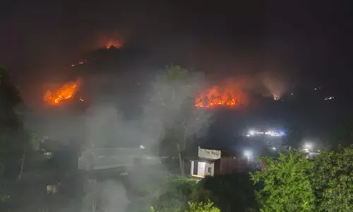 Uttarakhand : वनाग्नि नियंत्रण के लिए सरकार की बड़ी पहल, 496 समितियों को 30-30 हजार की सहायता