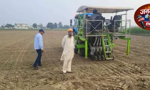 Haryana: DSR से कम होती है खेती की लागत
