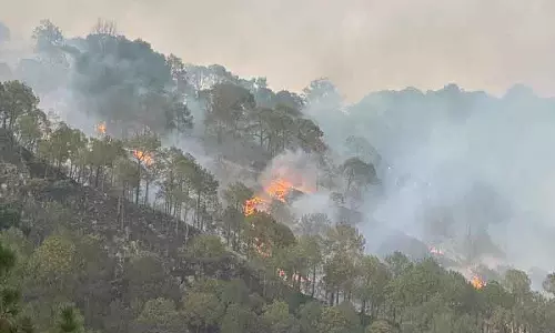 Kasauli में जंगल की आग बुझाने के लिए IAF के 2 हेलीकॉप्टर लगाए गए Kasauli में जंगल की आग बुझाने के लिए IAF के 2 हेलीकॉप्टर लगाए गए