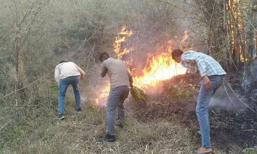 कसौली की पहाड़ियों में जंगल की आग भड़की कसौली की पहाड़ियों में जंगल की आग भड़की