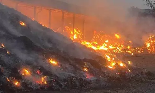 वन मंत्री ने तेंदूपत्ता अग्निकांड मामले में लिया एक्शन, DFO को हटाया वन मंत्री ने तेंदूपत्ता अग्निकांड मामले में लिया एक्शन, DFO को हटाया