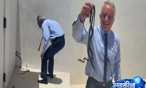 छोड़ दो इन्हें!  पत्नी की चेतावनी के बीच Robert F. Kennedy Jr. ने नंगे हाथों से पकड़ लिए दो काले रेसर सांप - VIDEO
