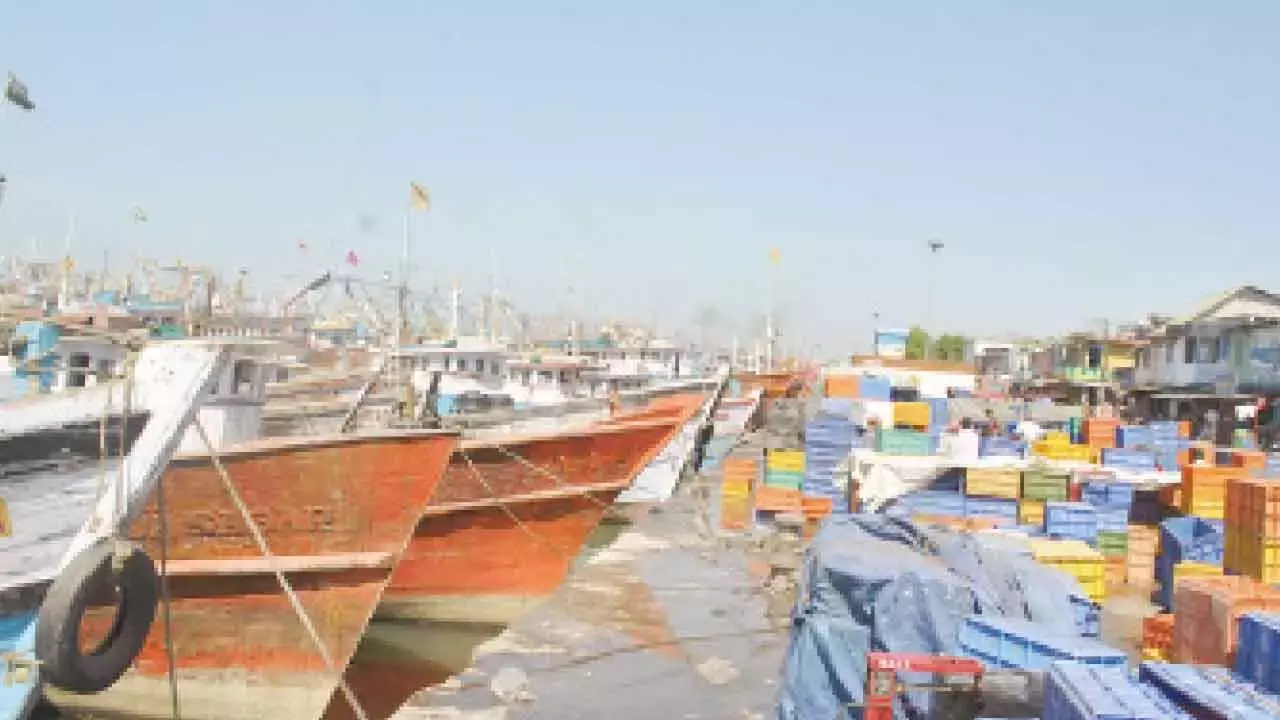 समुद्री मछली पकड़ने के सेक्टर में 2025-26 में थोड़ी रिकवरी की उम्मीद है, लेकिन चिंताएं बनी हुई हैं