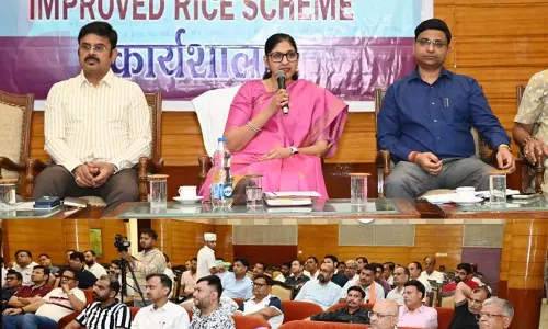 छत्तीसगढ़ में ‘इम्प्रूव्ड राईस स्कीम’ लागू करने की तैयारी तेज