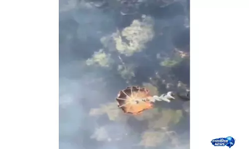 हिमाचल: कसौली के जंगलों में लगी आग बुझाने के लिए IAF के हेलिकॉप्टरों ने बैम्बी बकेट का इस्तेमाल किया हिमाचल: कसौली के जंगलों में लगी आग बुझाने के लिए IAF के हेलिकॉप्टरों ने बैम्बी बकेट का इस्तेमाल किया