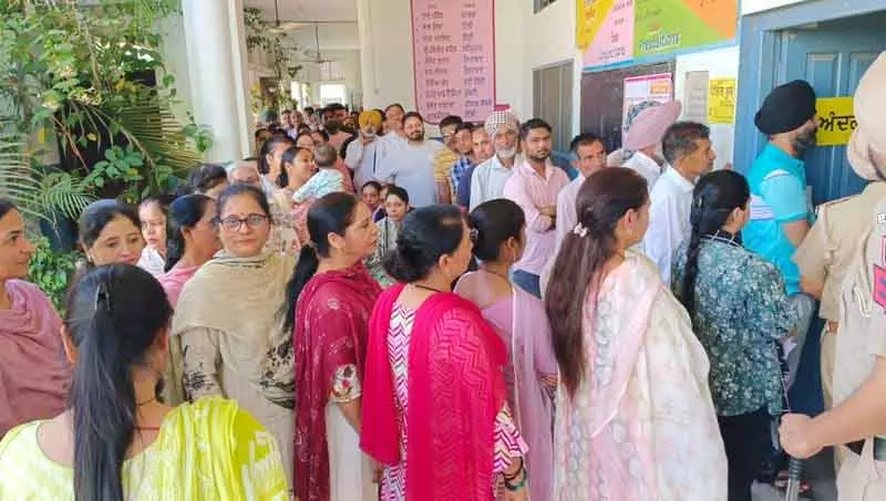 Ludhiana में MC चुनाव के लिए वोटिंग जारी, 64.82 परसेंट वोटिंग हुई Ludhiana में MC चुनाव के लिए वोटिंग जारी, 64.82 परसेंट वोटिंग हुई