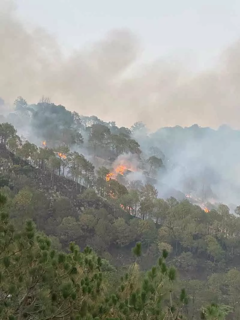 Kasauli में जंगल की आग बुझाने के लिए IAF के 2 हेलीकॉप्टर लगाए गए Kasauli में जंगल की आग बुझाने के लिए IAF के 2 हेलीकॉप्टर लगाए गए