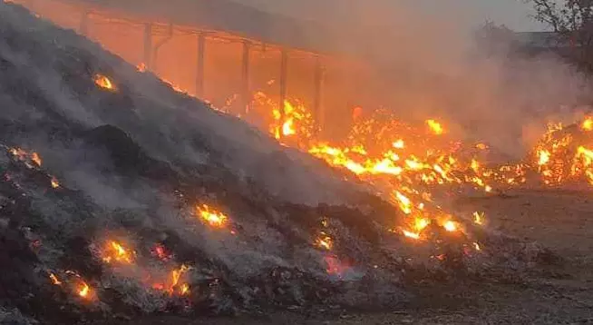 वन मंत्री ने तेंदूपत्ता अग्निकांड मामले में लिया एक्शन, DFO को हटाया वन मंत्री ने तेंदूपत्ता अग्निकांड मामले में लिया एक्शन, DFO को हटाया