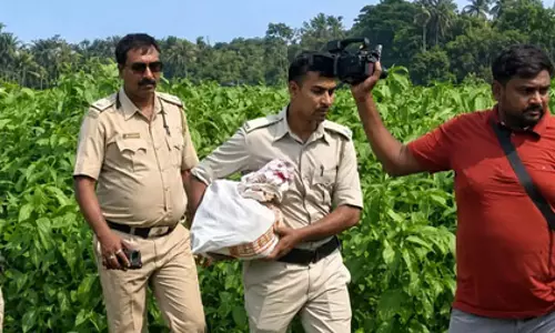 खेत खोदकर 2 करोड़ नकदी निकाली गई, नगर पालिका के चेयरमैन है भू-स्वामी खेत खोदकर 2 करोड़ नकदी निकाली गई, नगर पालिका के चेयरमैन है भू-स्वामी